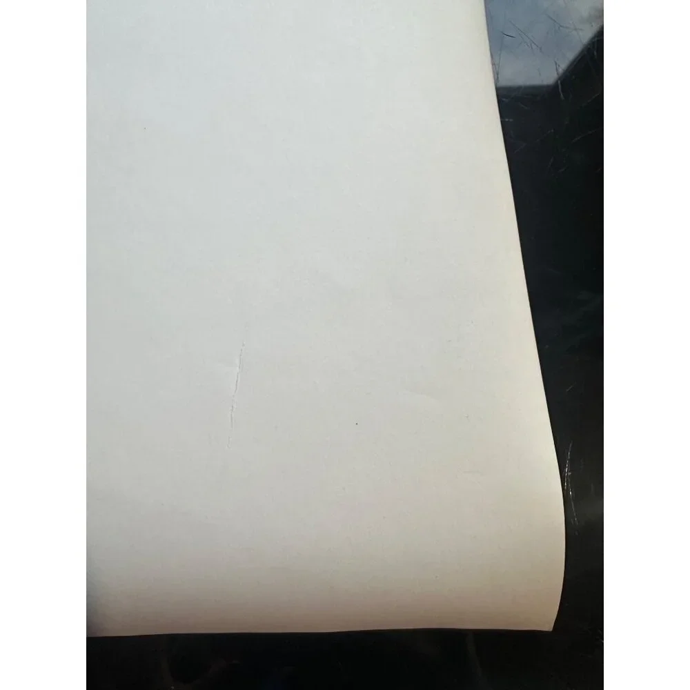 Vintage Debbie Reynolds The Second Time Around 1961 ‘Fighting Crooks’ Movie Stil - Picture 15 of 15